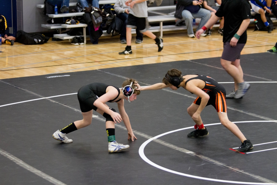 watertown_sr.dog1