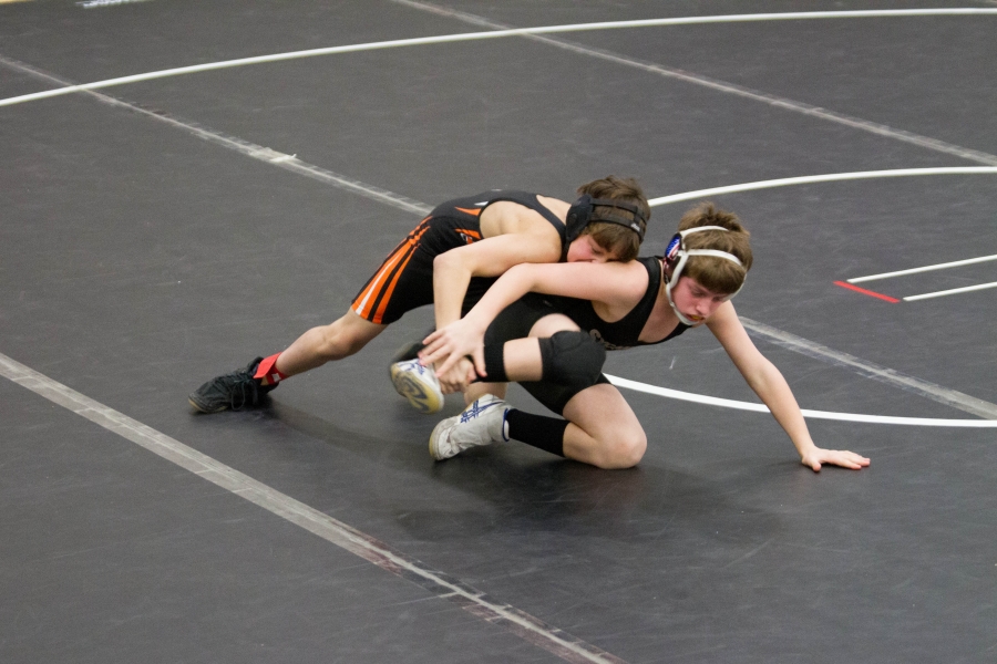 watertown_sr.dog3