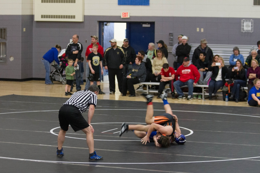 watertown_sr.dog4