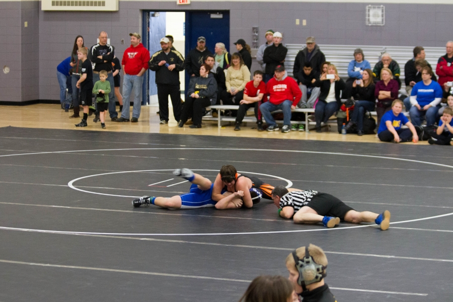 watertown_sr.dog5